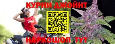 ГАЛЛЮЦИНОГЕННЫЕ ГРИБЫ Кулебаки