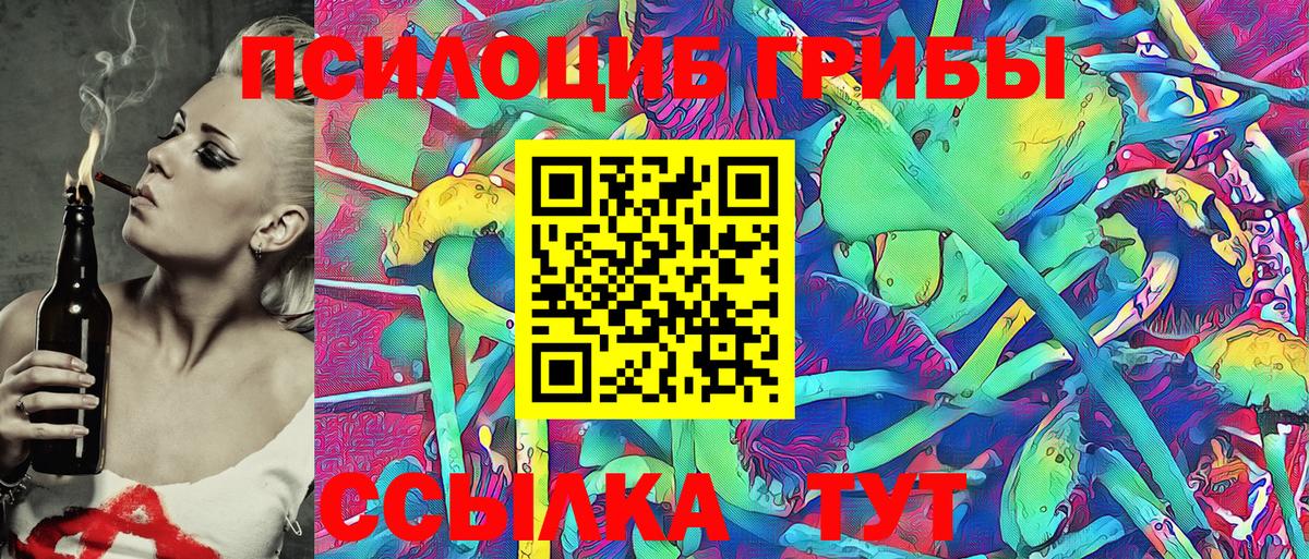 Галлюциногенные грибы Psilocybe Стрежевой