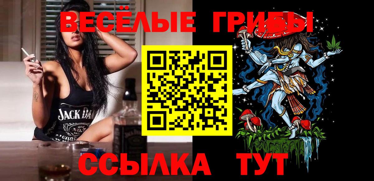 Стрежевой  Галлюциногенные грибы Psilocybine cubensis  Вход с VPN 